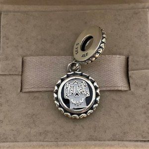 Pandora Disney Coco Two Sided Dangle Charm Pendant,Guitar, musical, skull head